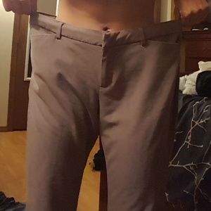 The Limited dress pants